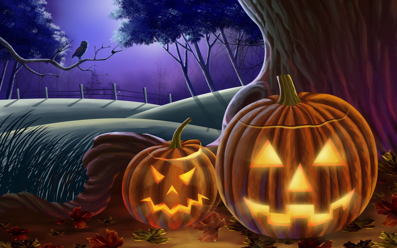 Обои сова, хэллоуин, хеллоуин, тыквы, owl, halloween, pumpkin разрешение 1920x1200 Загрузить