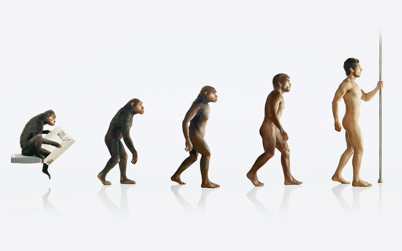 Обои человек, обезьяна, эволюция, people, monkey, evolution разрешение 1920x1200 Загрузить