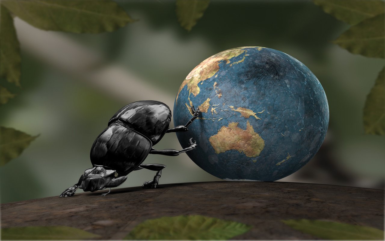 Обои земля, шарик, листики, шук навозник, earth, ball, leaves, shuk beetle разрешение 2560x1600 Загрузить