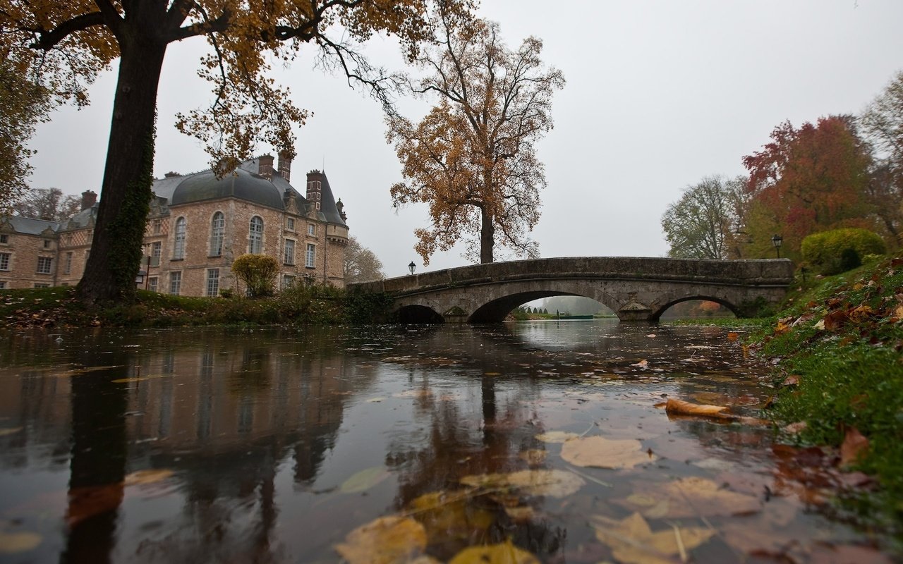 Обои вода, листья, мост, осень, дом, дождь, пруд, water, leaves, bridge, autumn, house, rain, pond разрешение 1920x1200 Загрузить