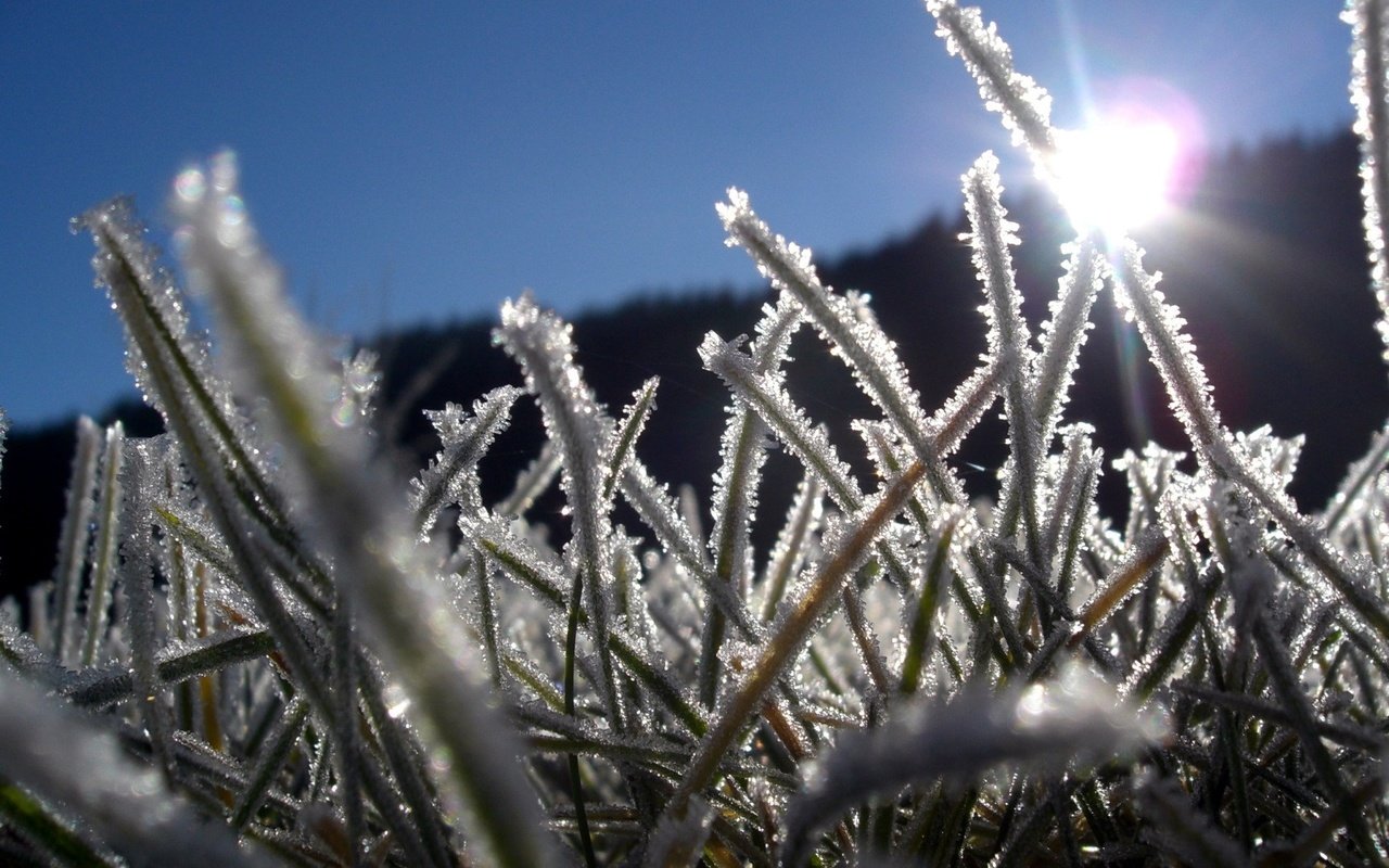 Обои трава, лёд, grass, ice разрешение 1920x1440 Загрузить