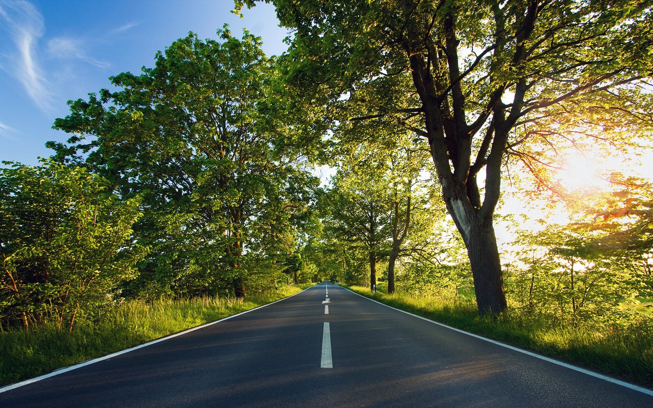 Обои дорога, деревья, солнце, зелёный, road, trees, the sun, green разрешение 2560x1600 Загрузить