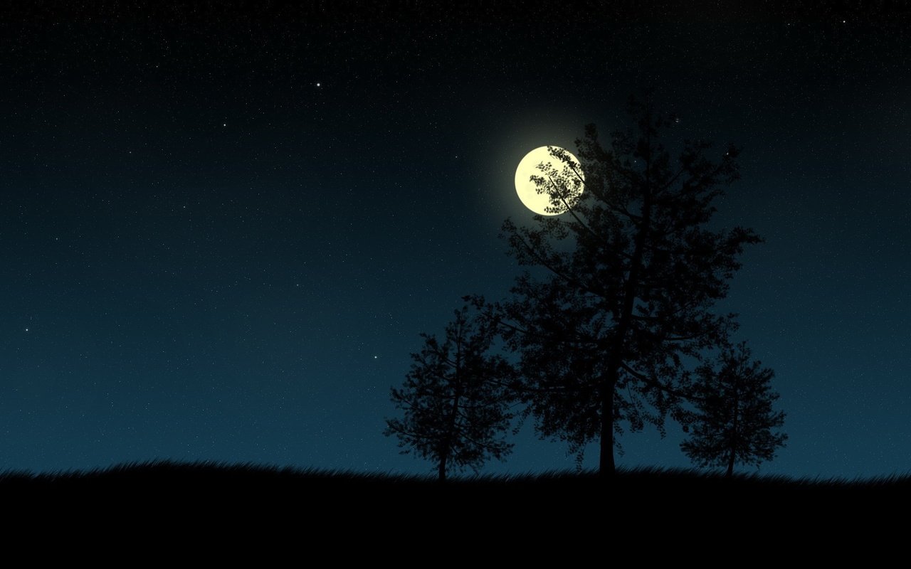 Обои ночь, деревья, вектор, луна, night, trees, vector, the moon разрешение 1920x1200 Загрузить