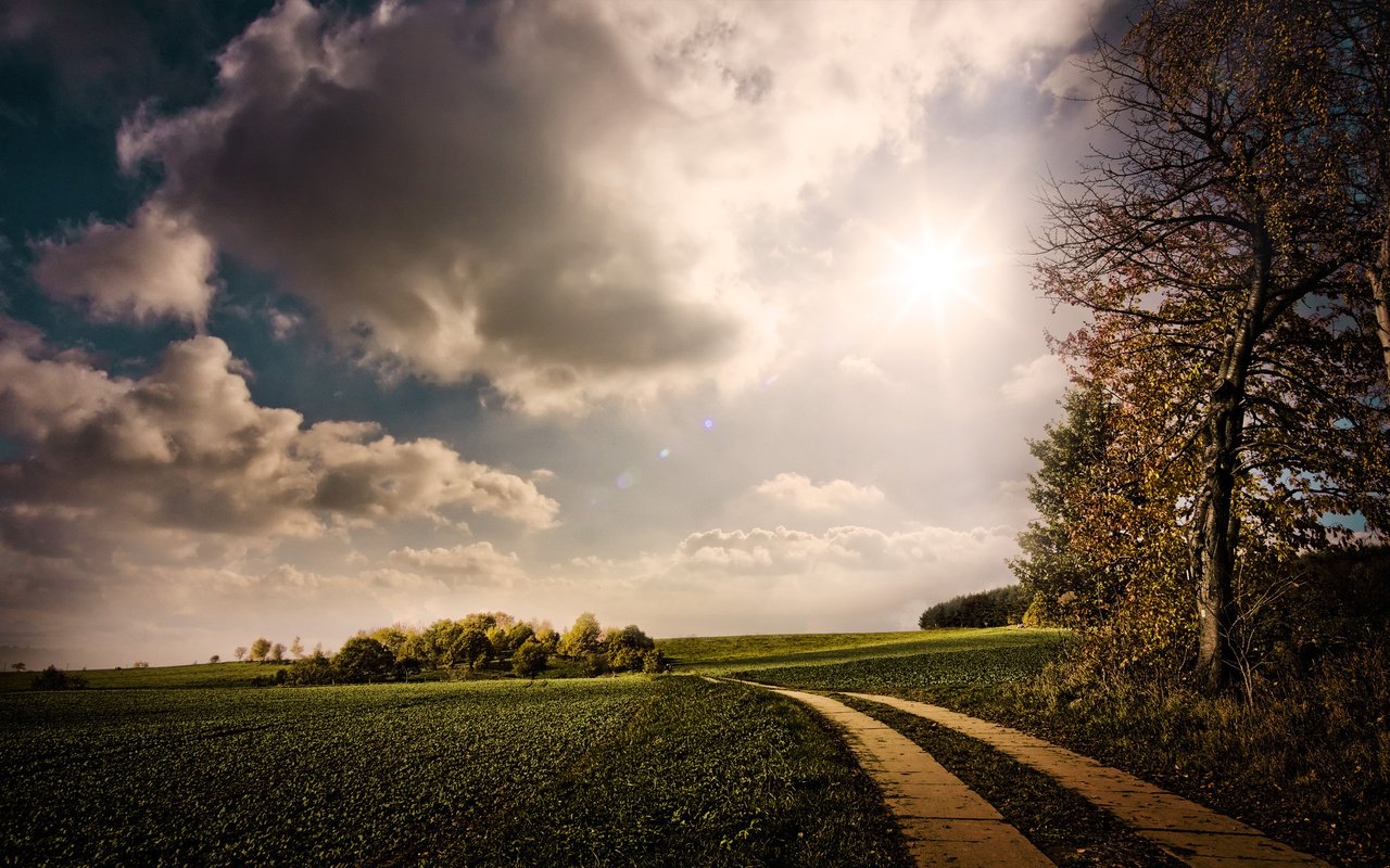 Обои небо, дорога, облака, деревья, солнце, природа, зелень, the sky, road, clouds, trees, the sun, nature, greens разрешение 2560x1600 Загрузить