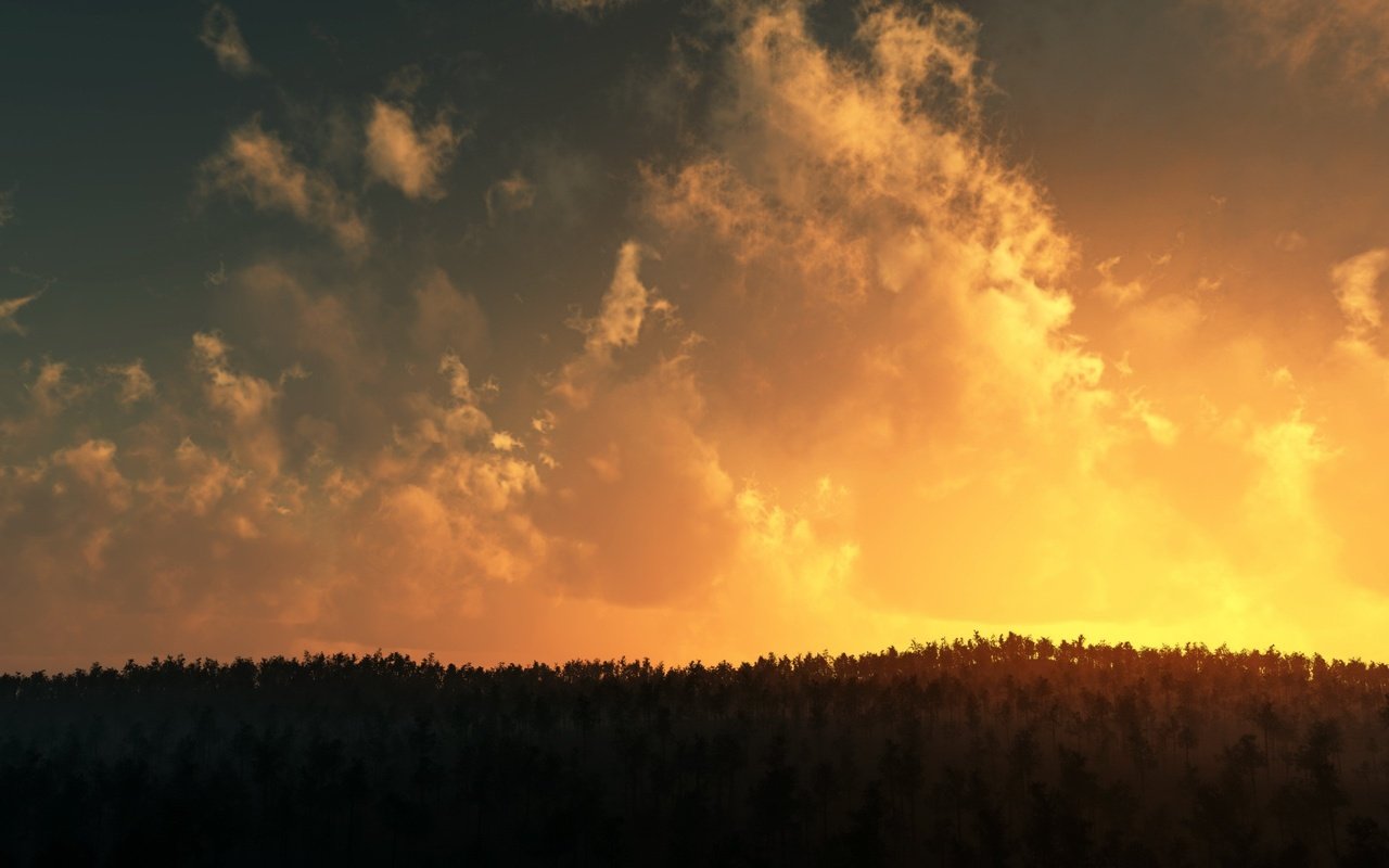 Обои облака, деревья, закат, clouds, trees, sunset разрешение 2560x1600 Загрузить