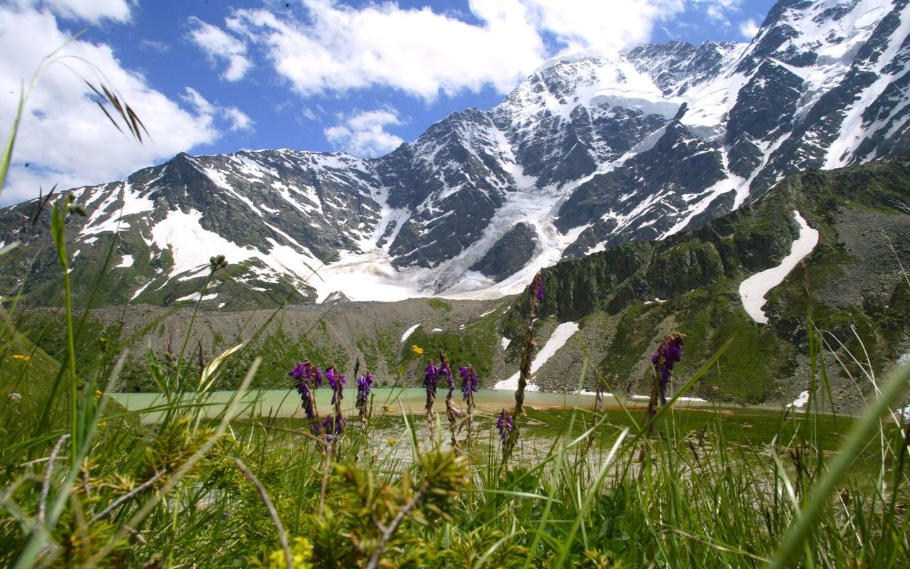 Обои трава, горы, луг, альпы, снежная вершина, grass, mountains, meadow, alps, snow peak разрешение 2560x1600 Загрузить