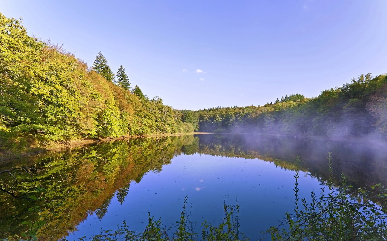 Обои озеро, отражение, утро, туман, lake, reflection, morning, fog разрешение 1920x1200 Загрузить