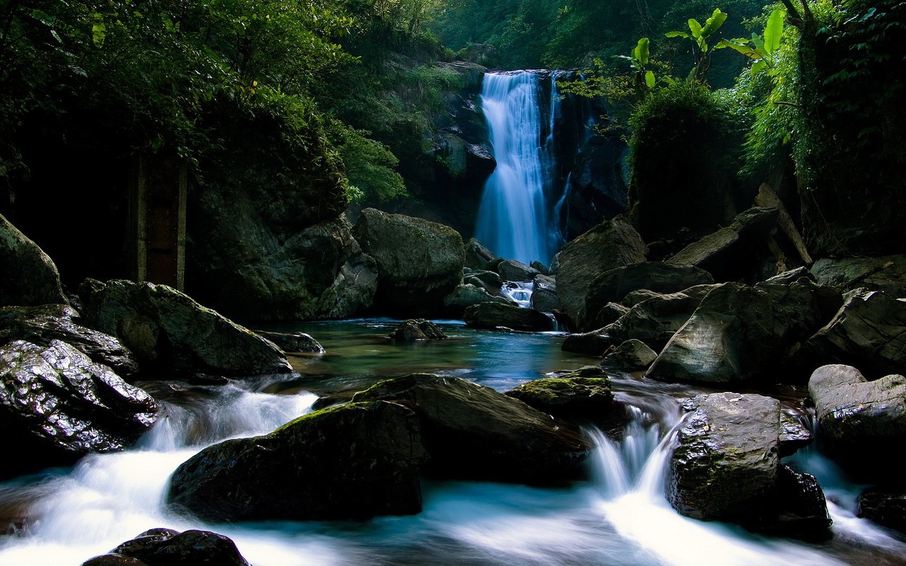 Обои камни, лес, водопад, тропики, stones, forest, waterfall, tropics разрешение 1920x1080 Загрузить