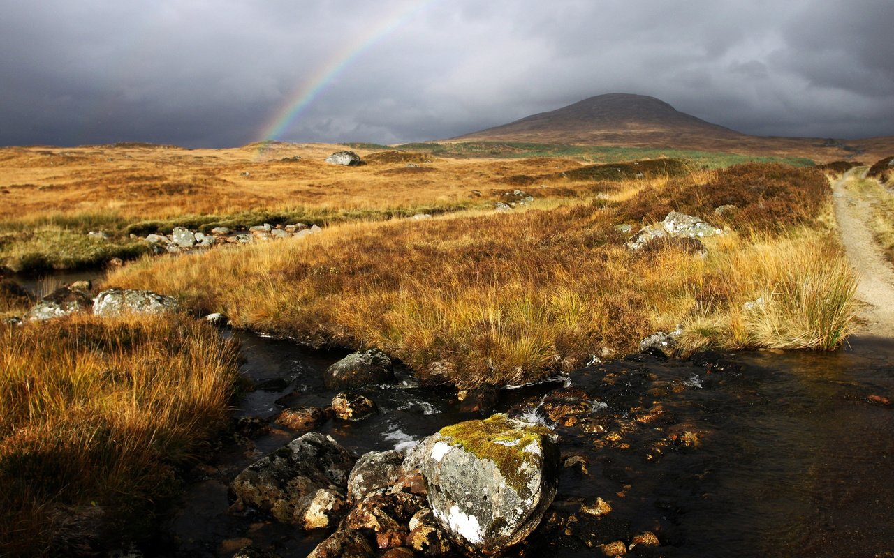 Обои небо, вода, камни, ручей, поле, радуга, холм, the sky, water, stones, stream, field, rainbow, hill разрешение 2560x1600 Загрузить