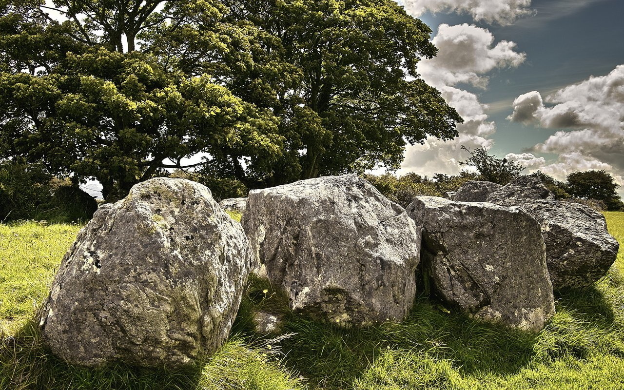 Обои трава, деревья, камни, поляна, зеленая, крона, grass, trees, stones, glade, green, crown разрешение 1920x1200 Загрузить