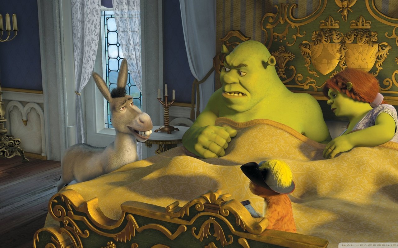 Обои кот, осел, шрек, фиона, cat, donkey, shrek, fiona разрешение 1920x1080 Загрузить