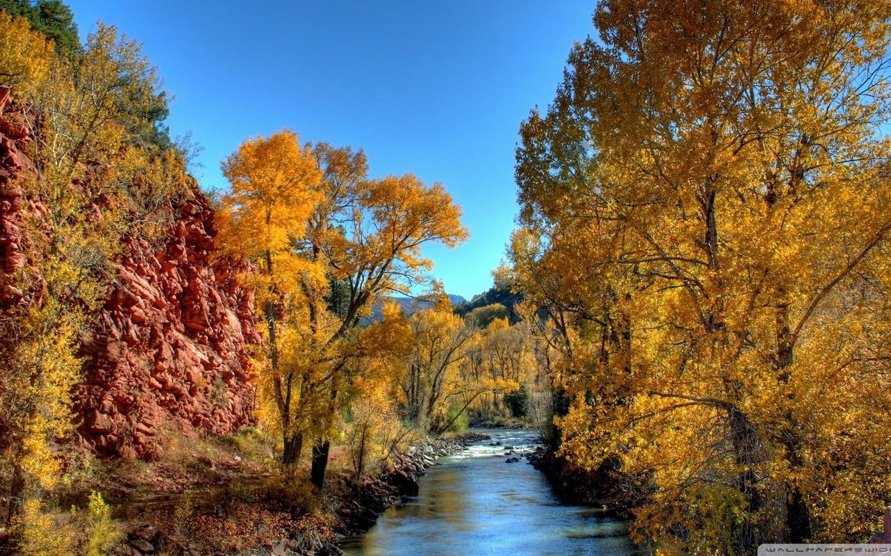 Обои небо, деревья, река, природа, осень, желтые листья, the sky, trees, river, nature, autumn, yellow leaves разрешение 1920x1080 Загрузить