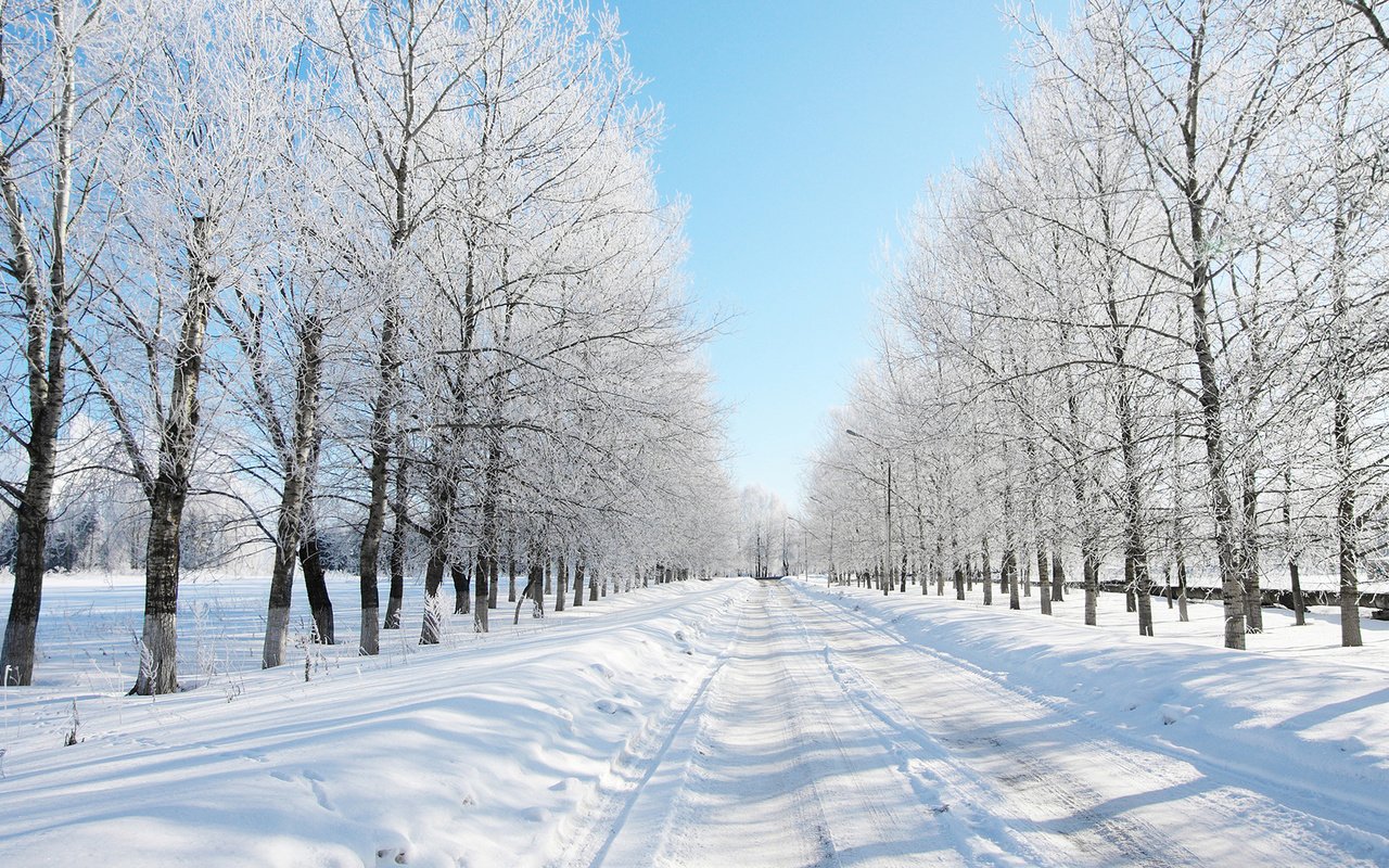 Обои дорога, деревья, снег, лес, зима, даль, road, trees, snow, forest, winter, dal разрешение 1920x1080 Загрузить