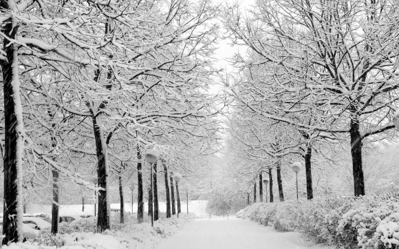 Обои снег, природа, зима, парк, чёрно-белое, аллея, уличный фонарь, snow, nature, winter, park, black and white, alley разрешение 2704x1764 Загрузить