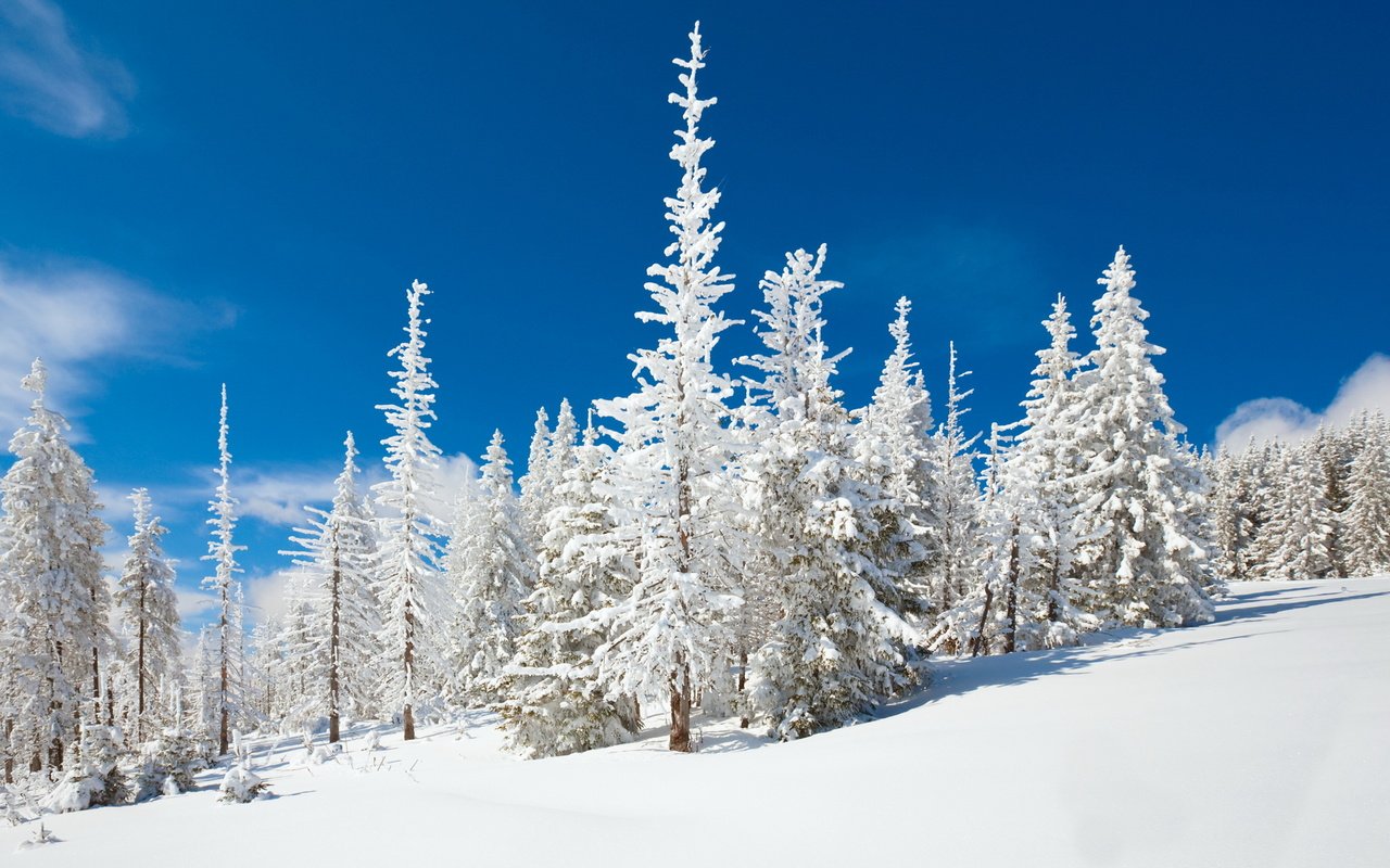 Обои небо, снег, природа, зима, the sky, snow, nature, winter разрешение 1920x1200 Загрузить