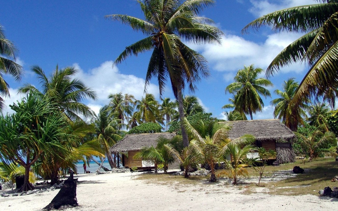 Обои солнце, пляж, пальмы, бунгало, французская полинезия, the sun, beach, palm trees, bungalow, french polynesia разрешение 1920x1080 Загрузить