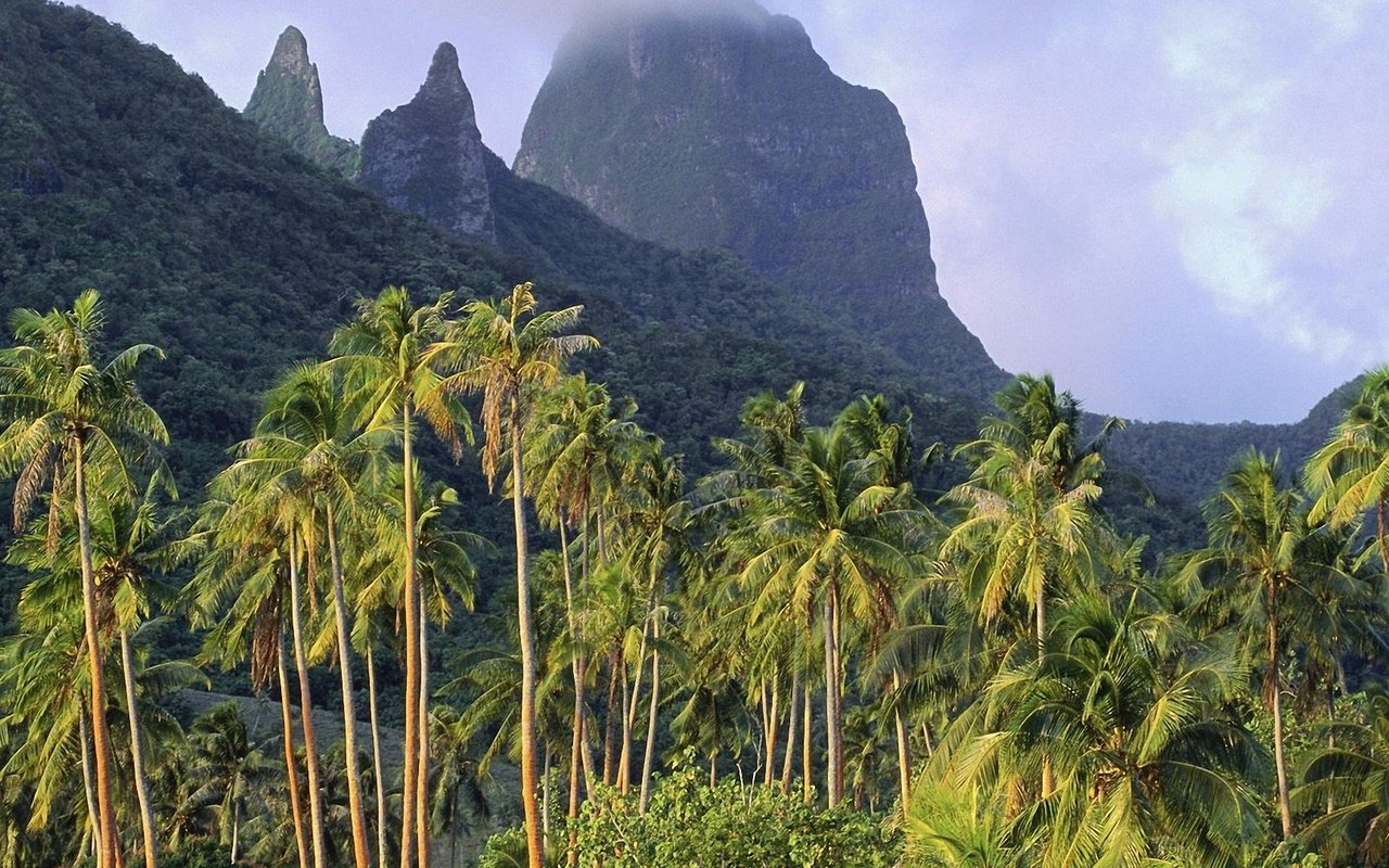 Обои небо, облака, горы, пальмы, французская полинезия, the sky, clouds, mountains, palm trees, french polynesia разрешение 1920x1080 Загрузить