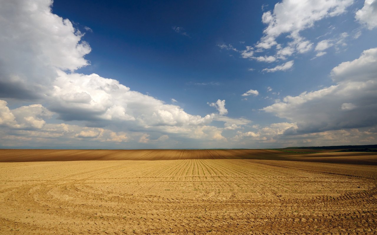 Обои небо, облака, поле, горизонт, the sky, clouds, field, horizon разрешение 1920x1080 Загрузить