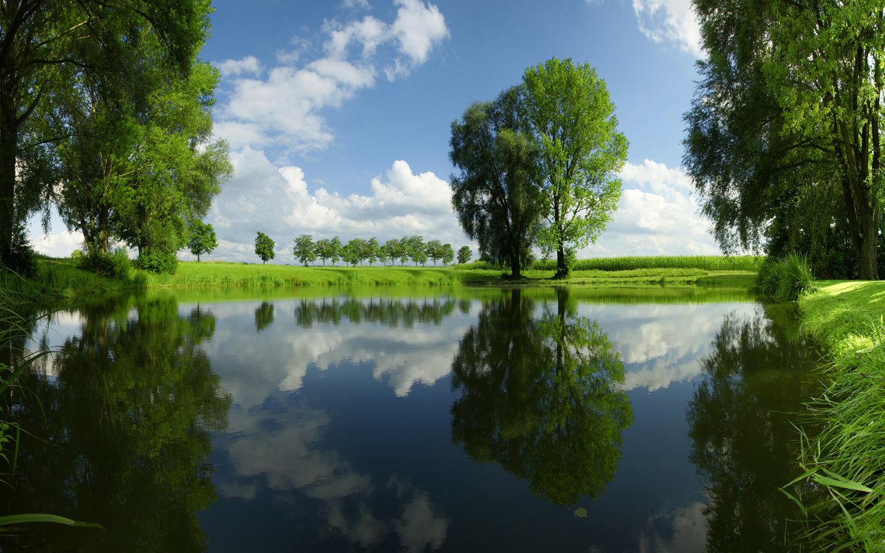 Обои небо, трава, облака, деревья, река, природа, отражение, пейзаж, the sky, grass, clouds, trees, river, nature, reflection, landscape разрешение 1920x1200 Загрузить