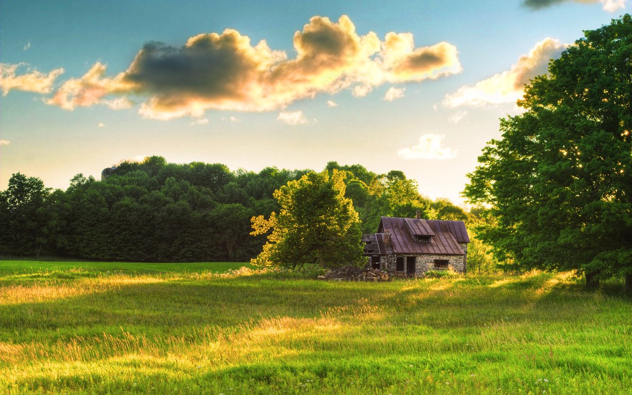 Обои небо, трава, облака, лес, лето, поляна, домик, the sky, grass, clouds, forest, summer, glade, house разрешение 2560x1600 Загрузить