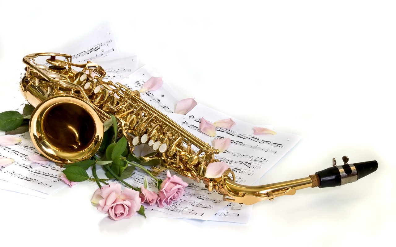 Обои цветы, фон, розы, ноты, лепестки, белый, саксофон, flowers, background, roses, notes, petals, white, saxophone разрешение 2560x1600 Загрузить