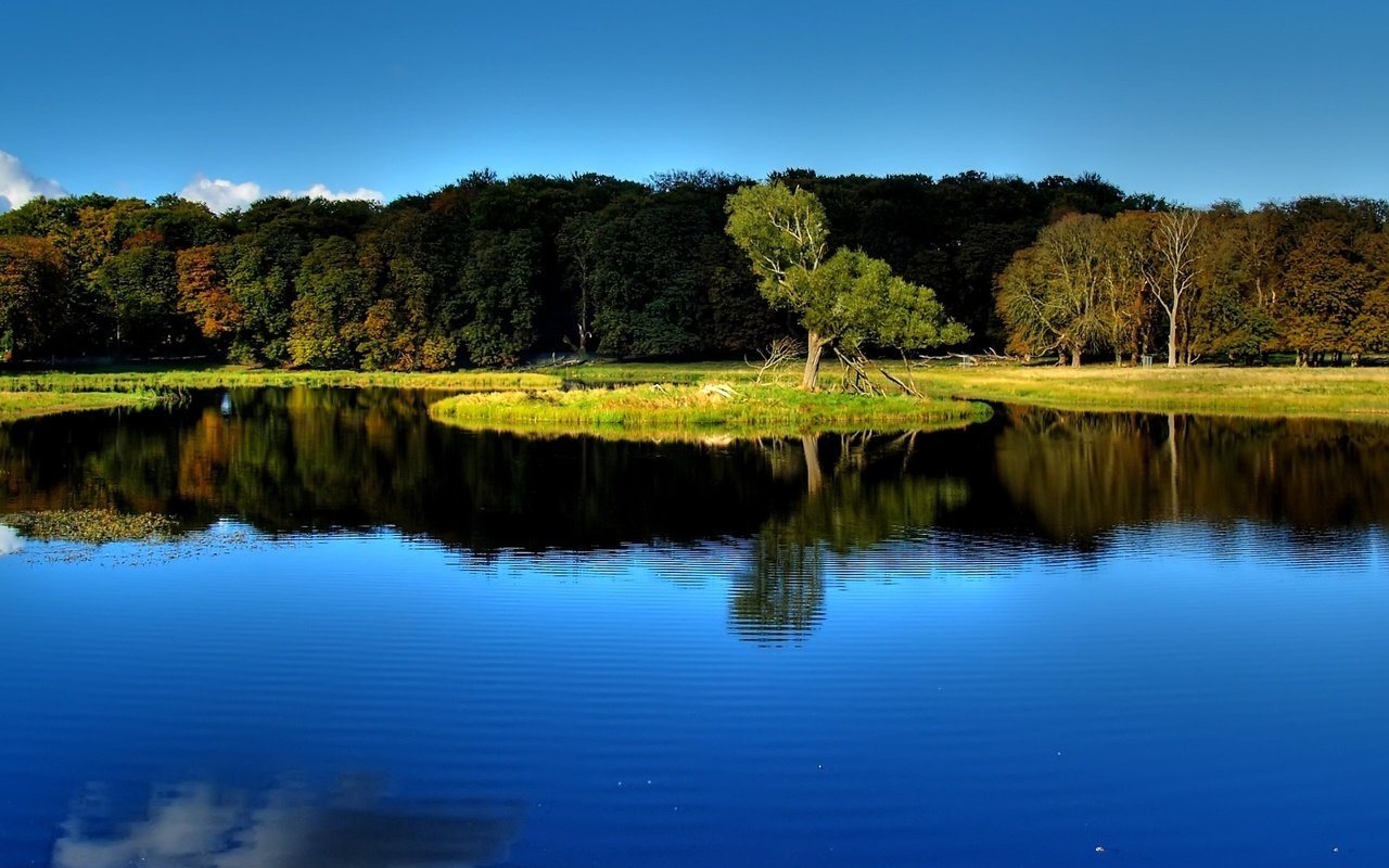 Обои деревья, вода, озеро, лес, отражение, пейзаж, trees, water, lake, forest, reflection, landscape разрешение 1920x1200 Загрузить