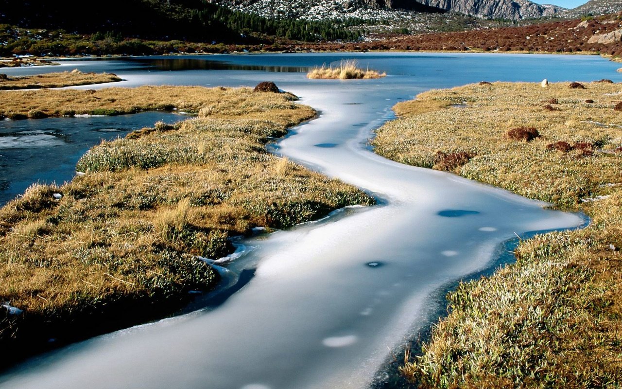 Обои трава, вода, река, камни, лёд, австралия, тасмания, grass, water, river, stones, ice, australia, tasmania разрешение 1920x1440 Загрузить