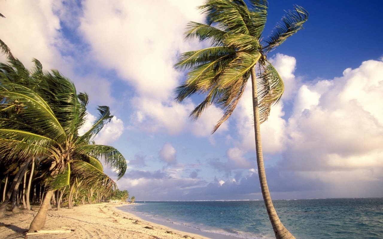 Обои небо, облака, вода, пейзаж, море, песок, пляж, пальмы, the sky, clouds, water, landscape, sea, sand, beach, palm trees разрешение 1920x1080 Загрузить