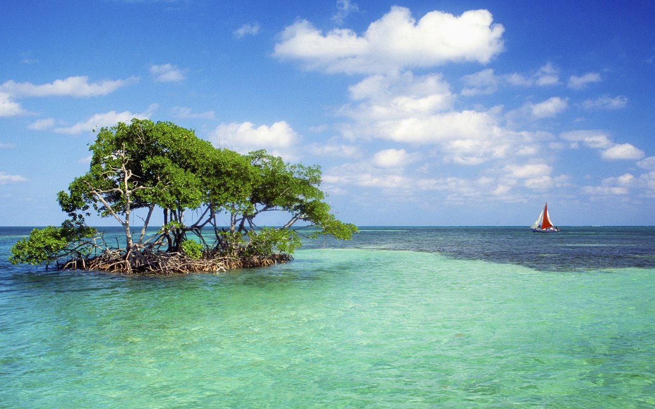 Обои деревья, горизонт, парусник, островок, мель, лазурь, trees, horizon, sailboat, island, stranded, lazur разрешение 1920x1080 Загрузить