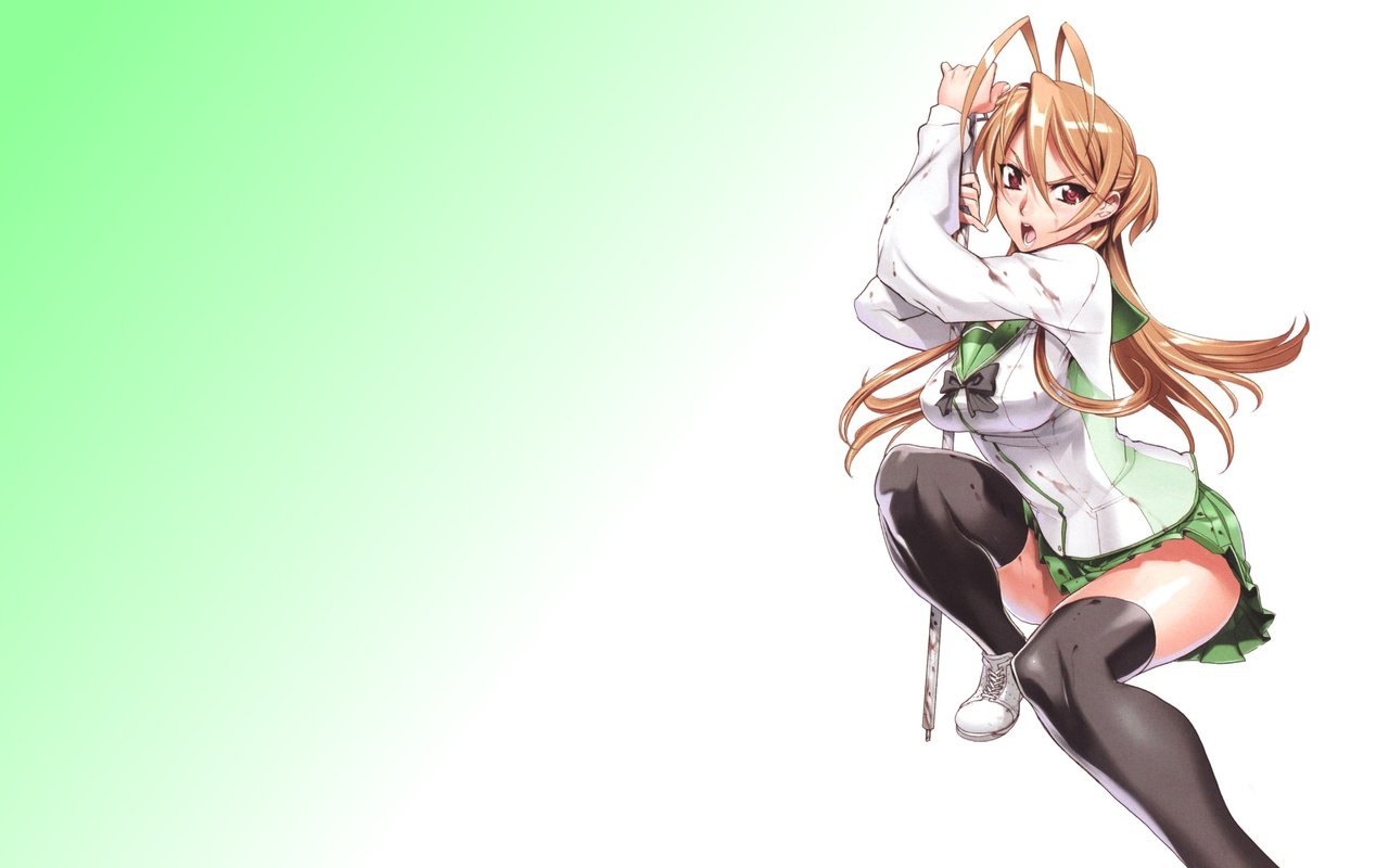 Обои highschool of the dead, miyamoto rei разрешение 1920x1200 Загрузить