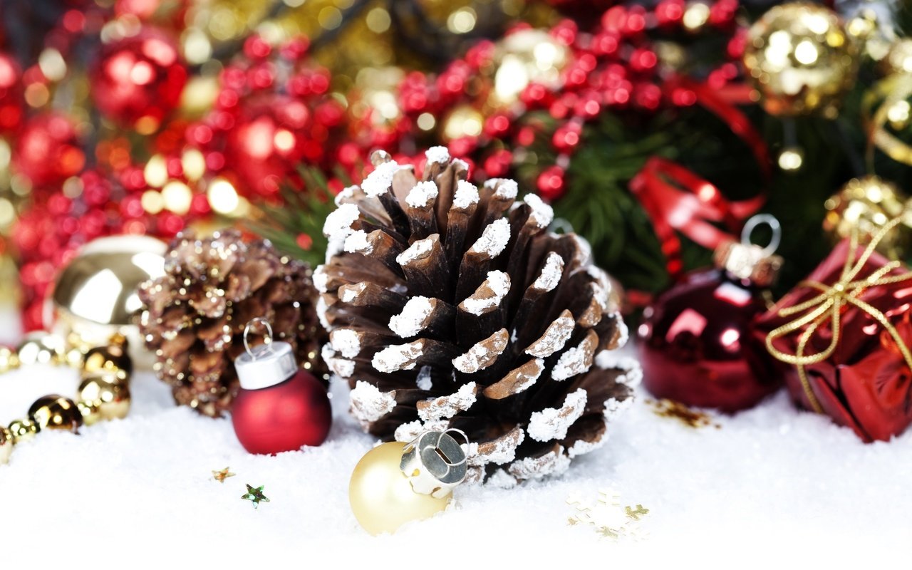 Обои рождество, снег, шишки, новый год, золотые, елка, украшения, красные, шарики, игрушки, шишка, christmas, snow, bumps, new year, gold, tree, decoration, red, balls, toys, bump разрешение 2560x1600 Загрузить