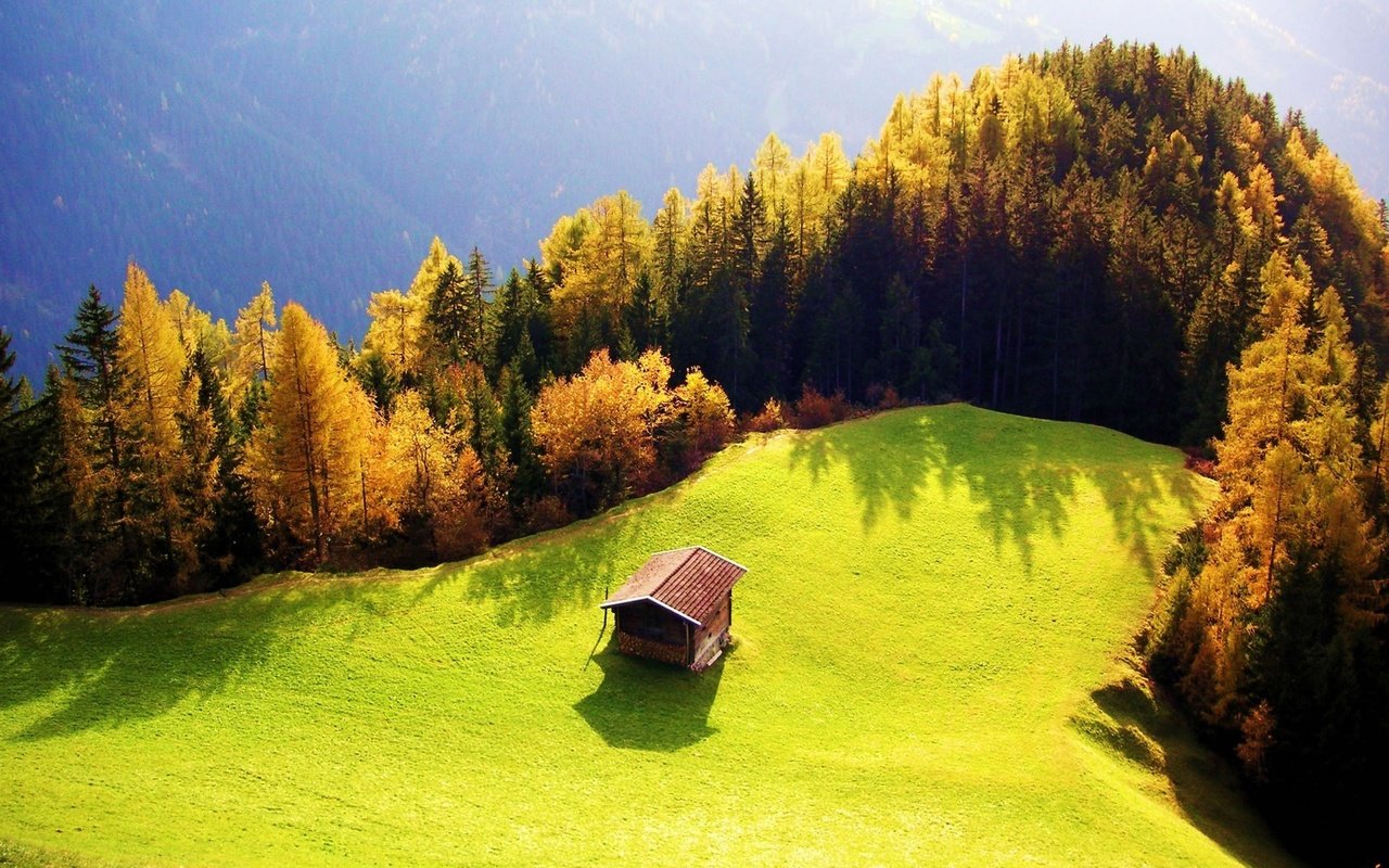 Обои трава, роща, деревья, горы, лес, осень, луг, дом, зеленая, grass, grove, trees, mountains, forest, autumn, meadow, house, green разрешение 1920x1200 Загрузить