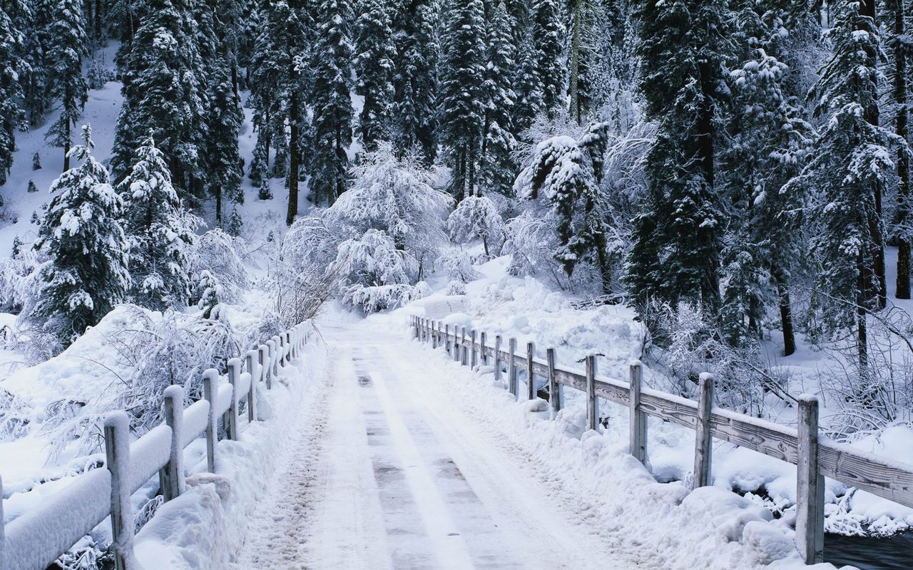 Обои дорога, мостик, лес, зима, речка, зимний лес, road, the bridge, forest, winter, river, winter forest разрешение 1920x1080 Загрузить