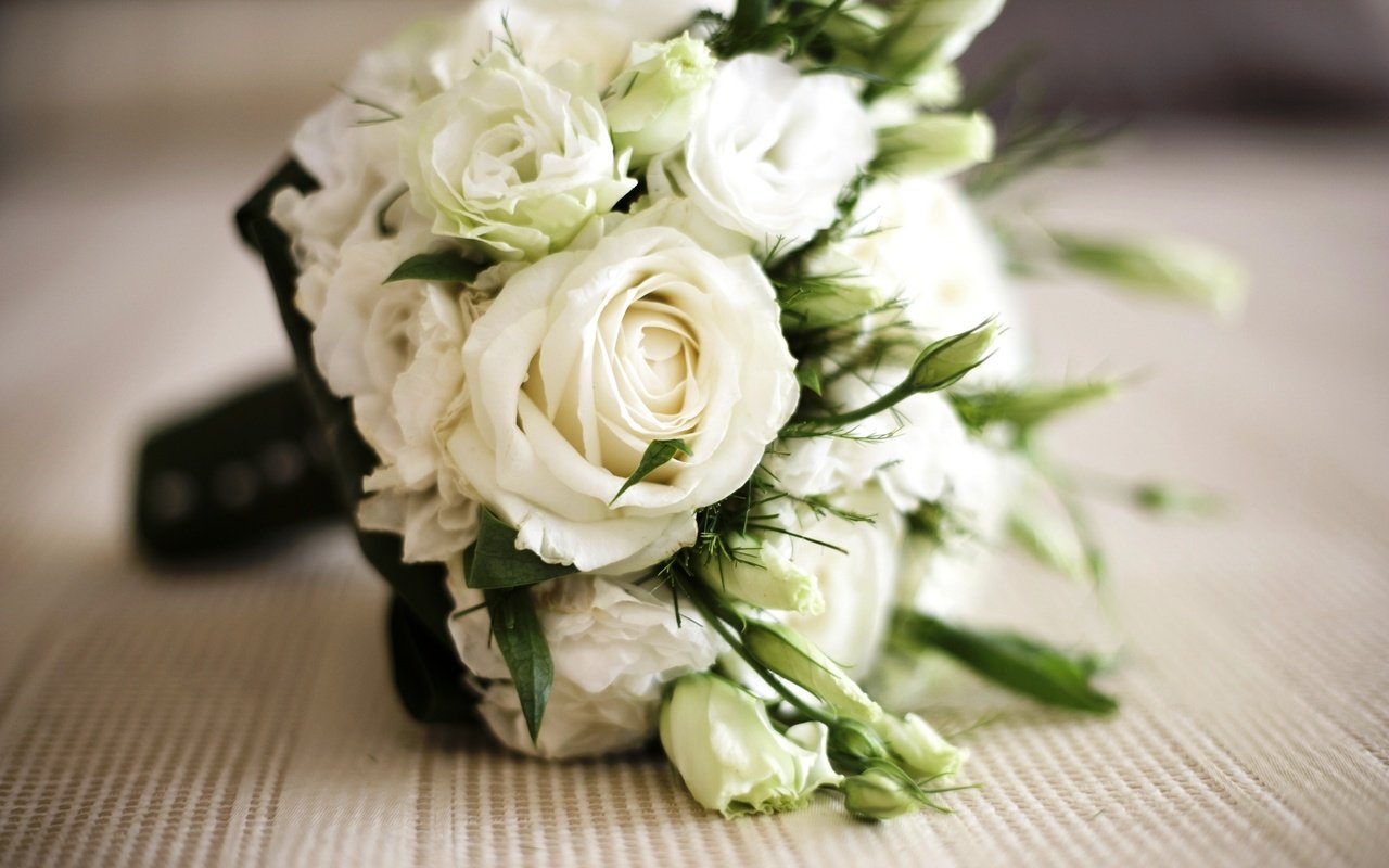 Обои цветы, розы, стол, букет, belye, rozy, buket, flowers, roses, table, bouquet разрешение 2560x1600 Загрузить