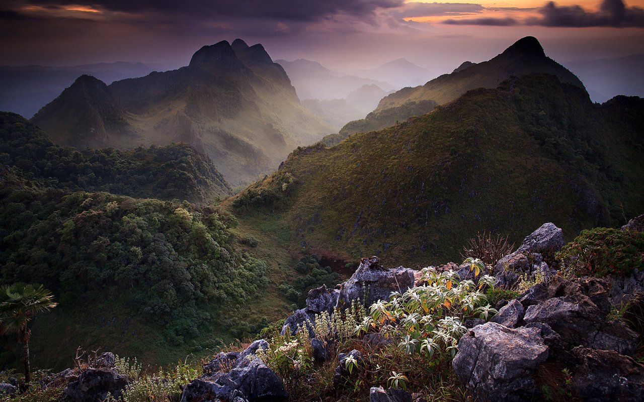 Обои небо, цветы, горы, камни, тучи, таиланд, растительность, the sky, flowers, mountains, stones, clouds, thailand, vegetation разрешение 1920x1200 Загрузить