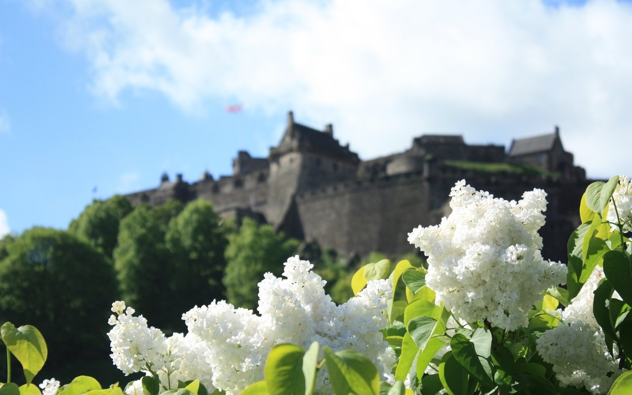 Обои цветы, замок, весна, белая, сирень, боке, сирена, cvety, zamok, flowers, castle, spring, white, lilac, bokeh, siren разрешение 3000x2000 Загрузить