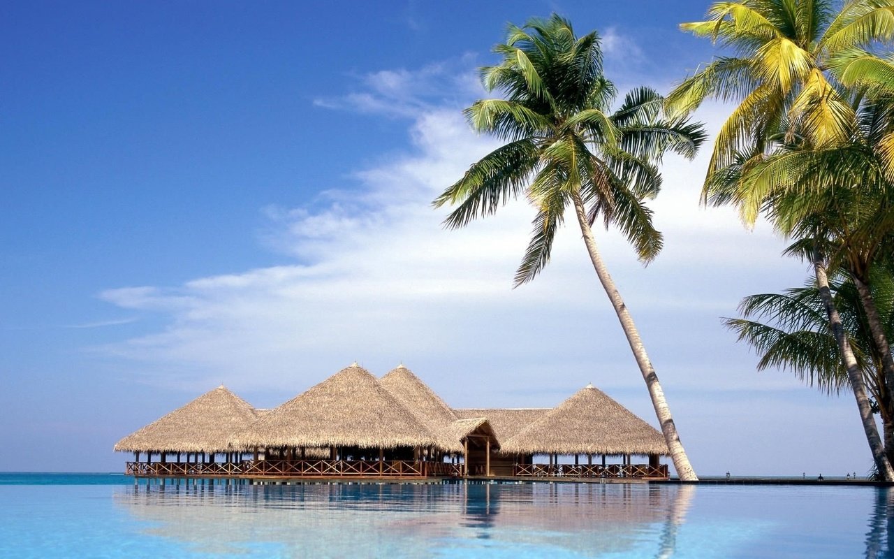 Обои пейзаж, пляж, пальмы, океан, бунгало, мальдивские острова, landscape, beach, palm trees, the ocean, bungalow, maldives разрешение 1920x1080 Загрузить