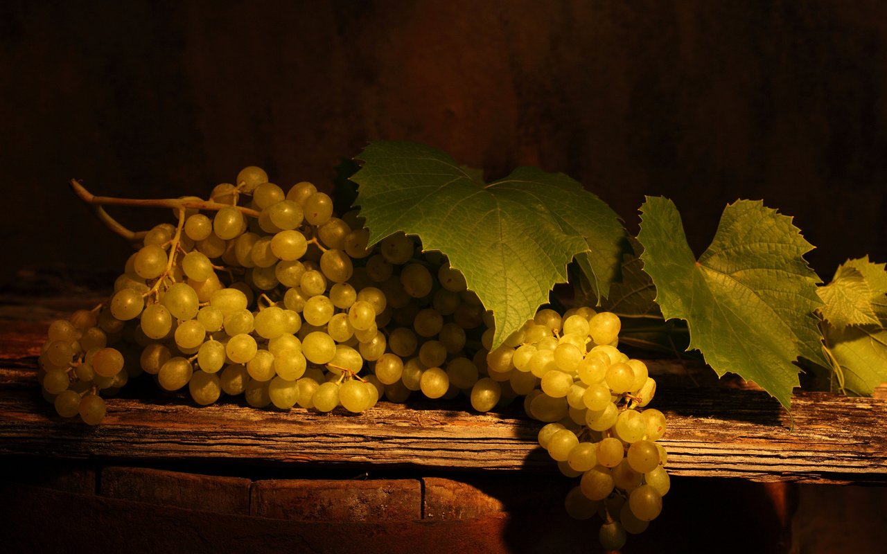 Обои листья, зелёный, виноград, стол, тень, ягоды, гроздь, leaves, green, grapes, table, shadow, berries, bunch разрешение 2560x1600 Загрузить