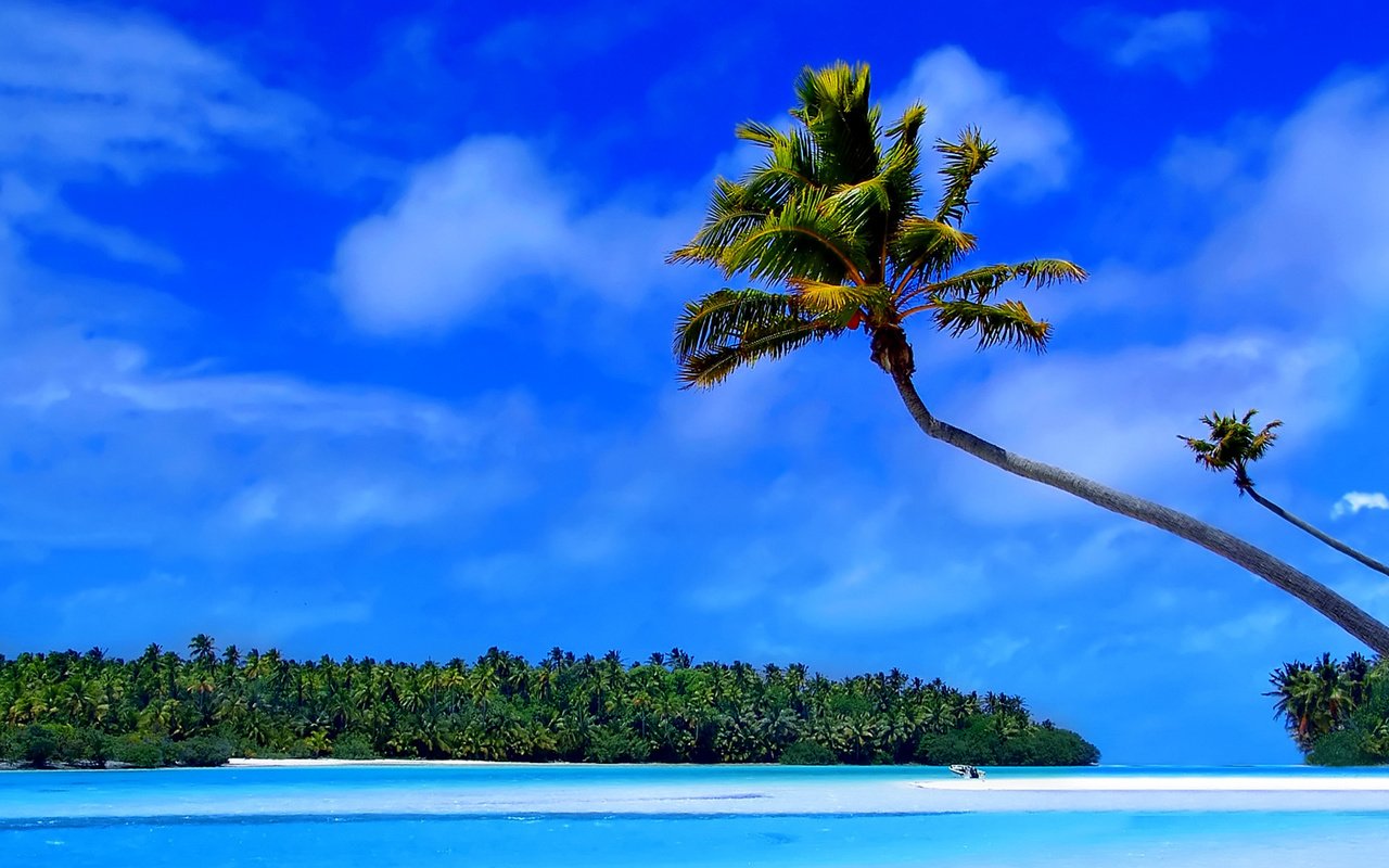 Обои остров, тропики, мальдивы, island, tropics, the maldives разрешение 1920x1080 Загрузить