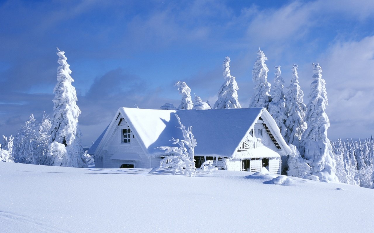 Обои небо, облака, деревья, снег, зима, кусты, домик, ели, the sky, clouds, trees, snow, winter, the bushes, house, ate разрешение 2560x1600 Загрузить