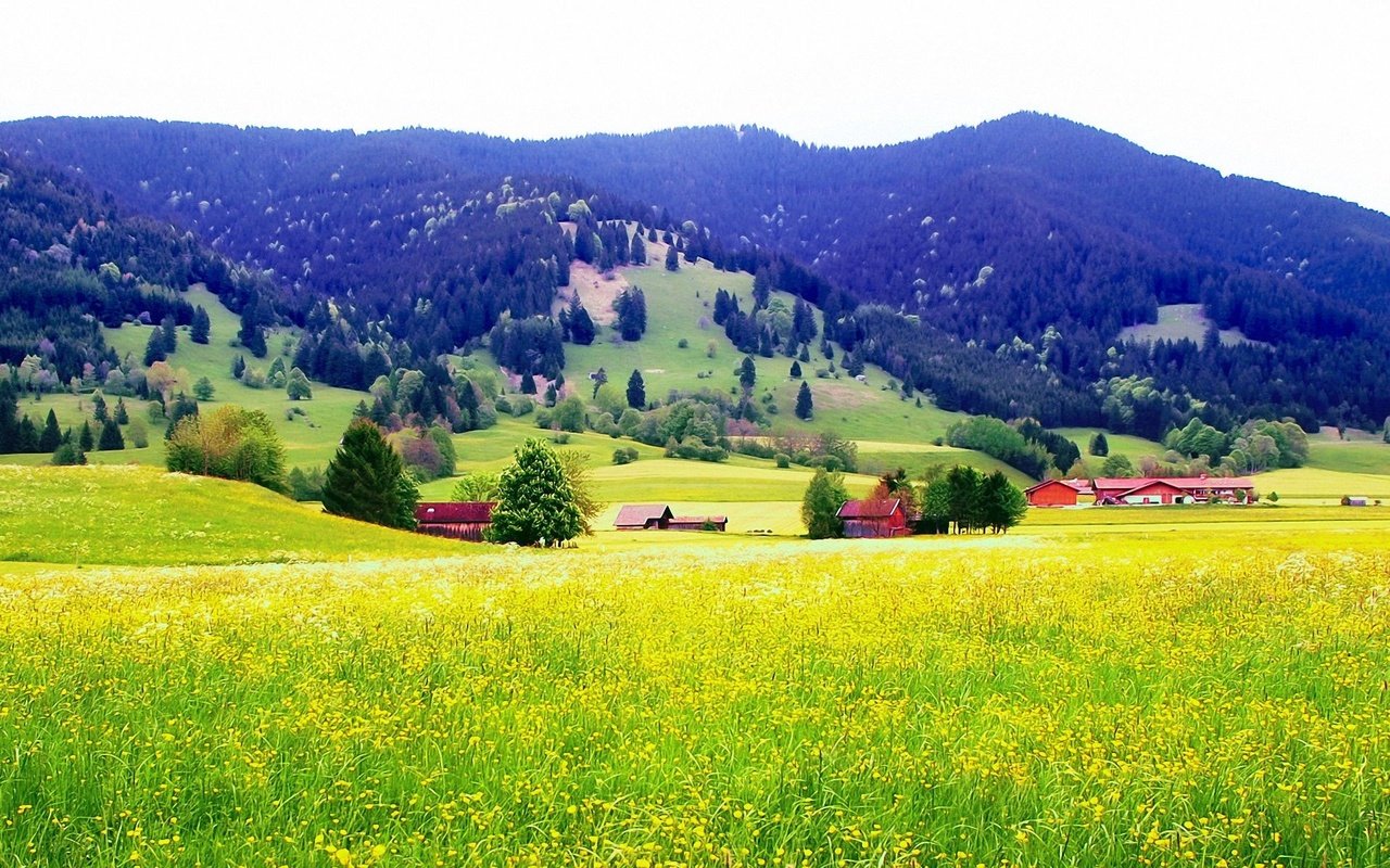 Обои горы, поле, mountains, field разрешение 1920x1200 Загрузить