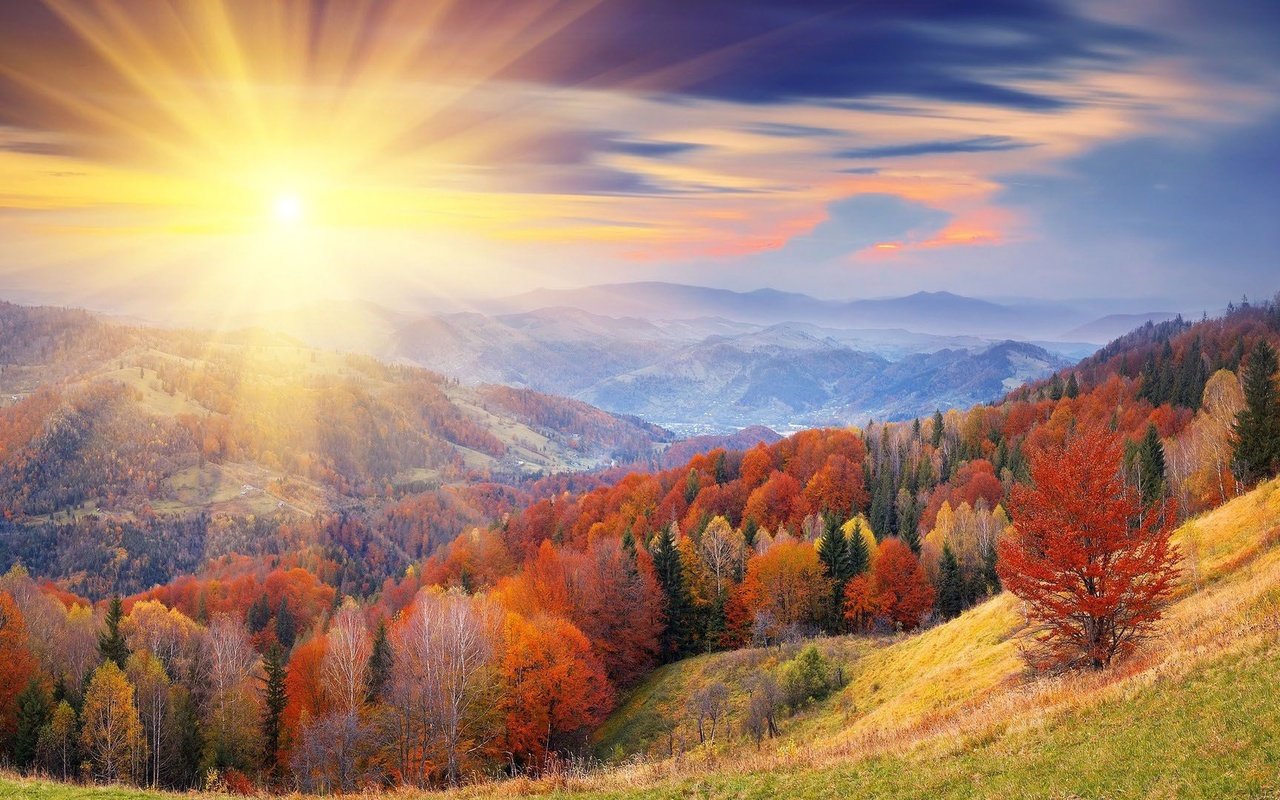 Обои горы, солнце, лес, осень, mountains, the sun, forest, autumn разрешение 1920x1080 Загрузить