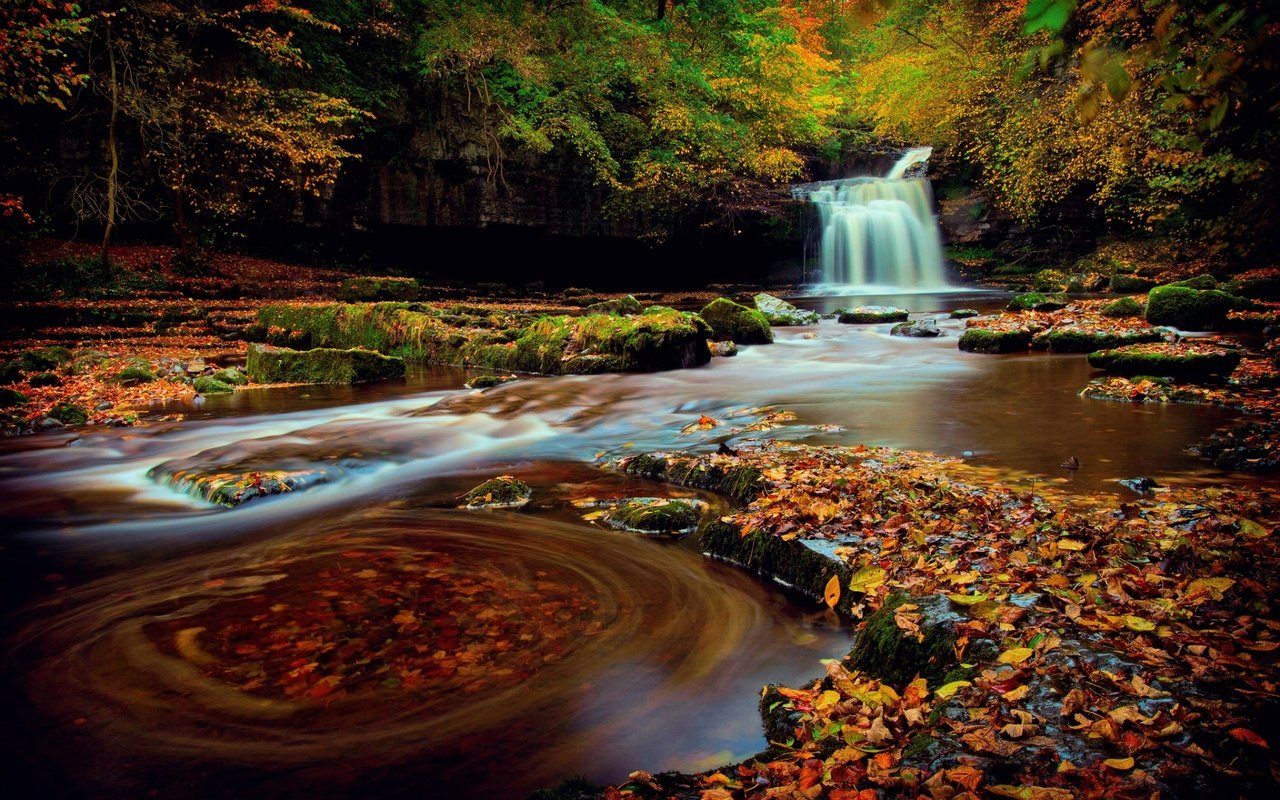 Обои природа, лес, водопад, осень, англия, йоркшир, nature, forest, waterfall, autumn, england, yorkshire разрешение 1920x1200 Загрузить