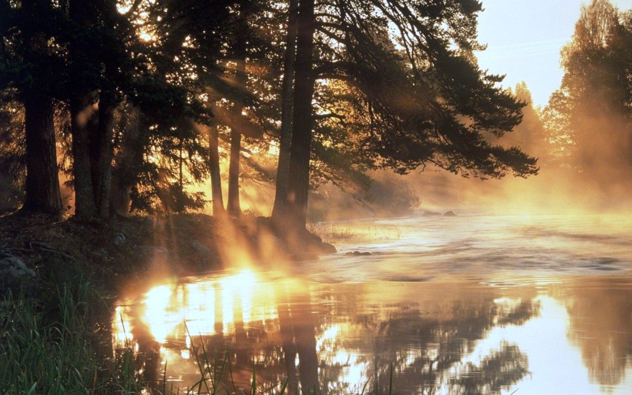 Обои трава, деревья, вода, солнце, лес, лучи, туман, grass, trees, water, the sun, forest, rays, fog разрешение 2000x1500 Загрузить