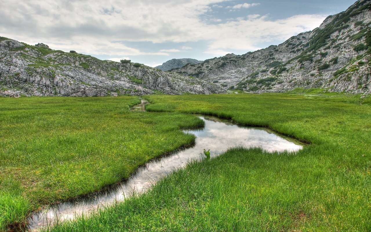 Обои трава, горы, природа, ручей, пейзаж., grass, mountains, nature, stream, landscape. разрешение 2560x1600 Загрузить