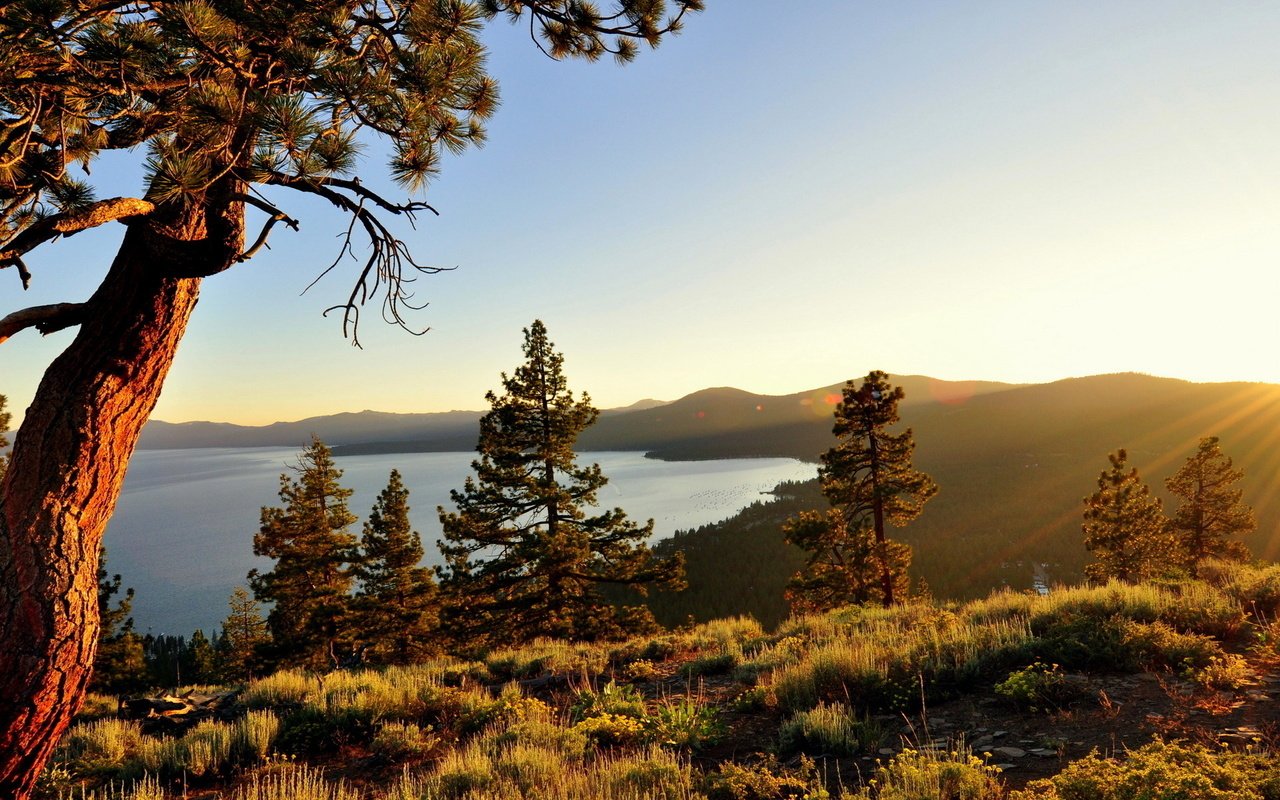 Обои озеро, природа, дерево, калифорния, сосна, озеро тахо, lake, nature, tree, ca, pine, lake tahoe разрешение 1920x1200 Загрузить