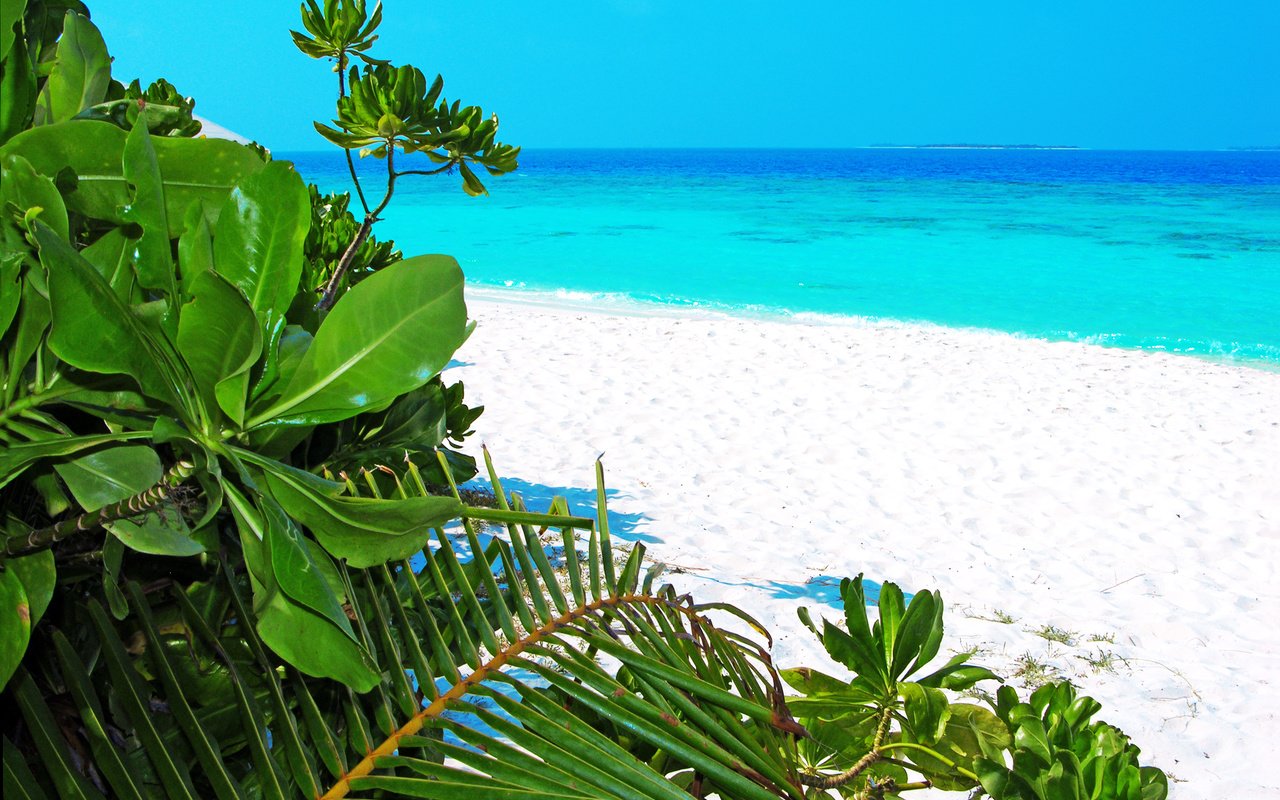 Обои море, пляж, тропики, мальдивы, sea, beach, tropics, the maldives разрешение 3274x2460 Загрузить