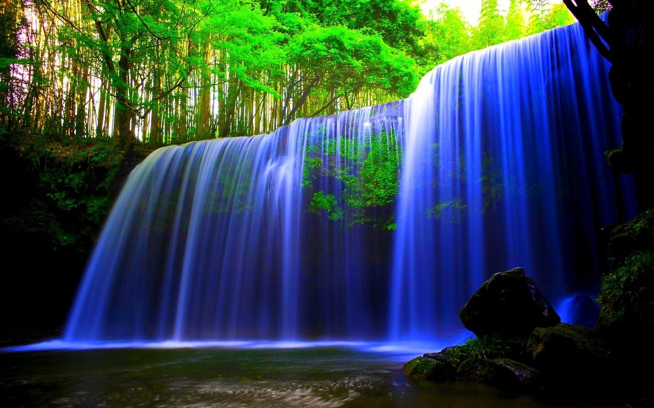 Скачать обои водопад, голубой, в лесу, в лесу, waterfall blue in the  forest разрешение 1280x800 #64517