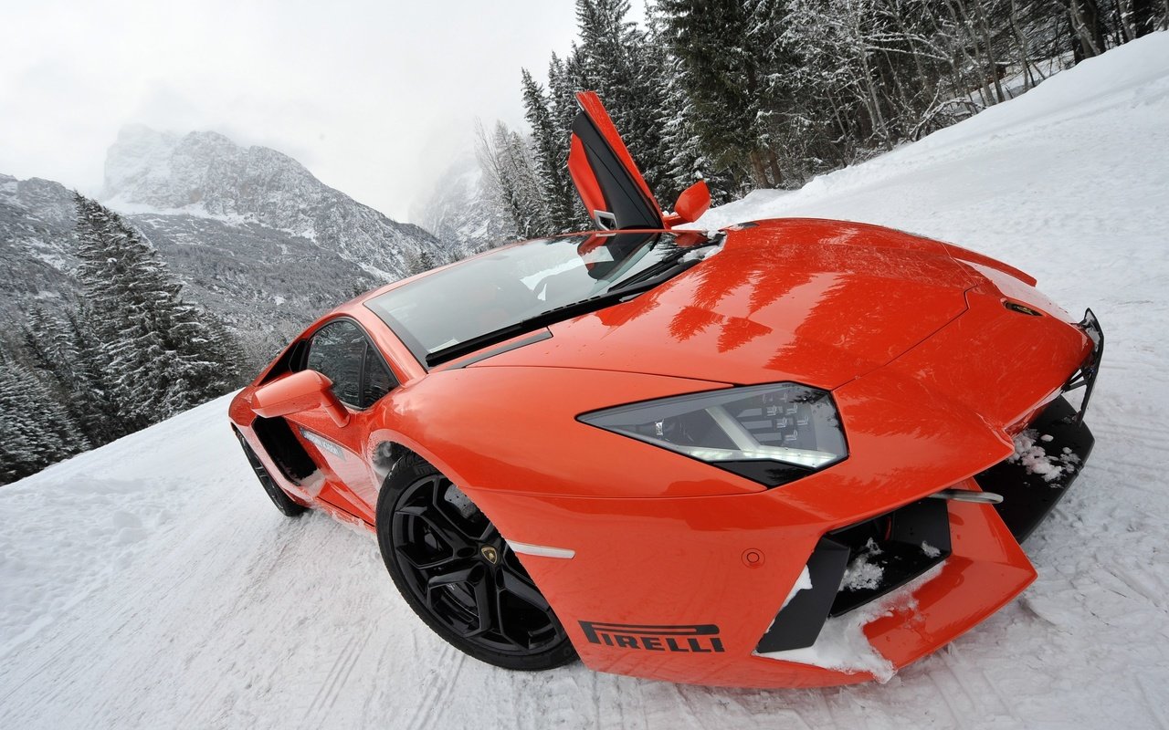 Обои снег, ракурс, спорткар, моська, lamborghini aventador lp700-4, snow, view, sports car, pug разрешение 2560x1703 Загрузить