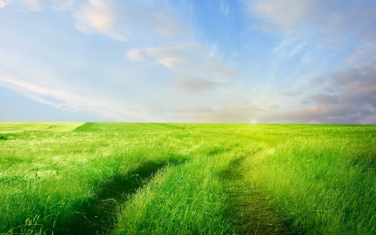 Обои небо, дорога, трава, облака, зелень, поле, горизонт, the sky, road, grass, clouds, greens, field, horizon разрешение 1920x1080 Загрузить